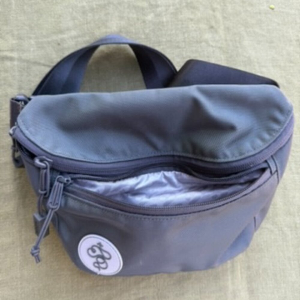 Babboon To The Moon 3L Fannypack